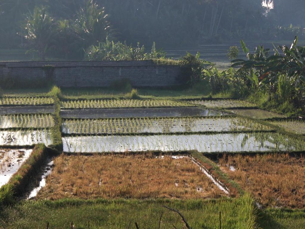 Villa Kawan Tanah Lot Quarto foto